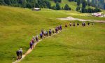 Il Parco Nazionale Gran Paradiso riapre con 90 escursioni gratuite