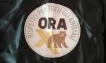 "Ora rispetto per tutti gli animali": il contributo dell'associazione torinese durante il lockdown