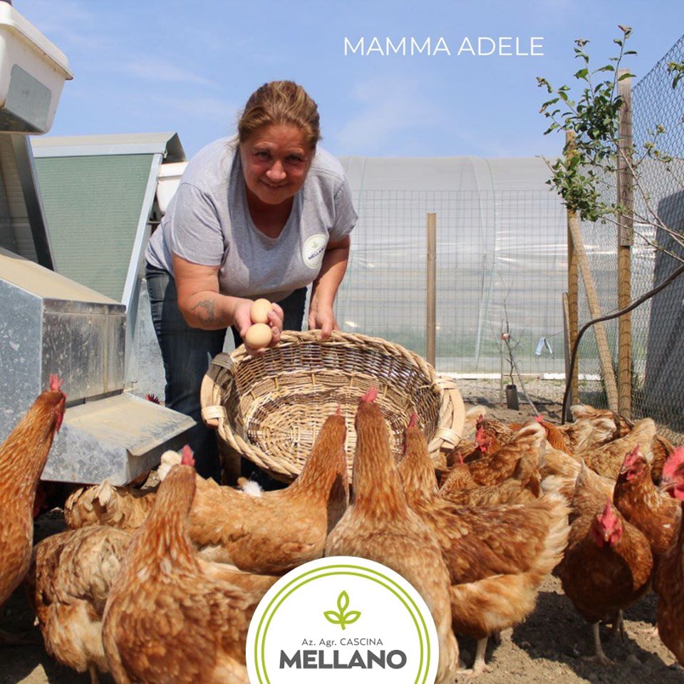 Secondo raid nell’azienda agricola: un bottino da 10 mila euro