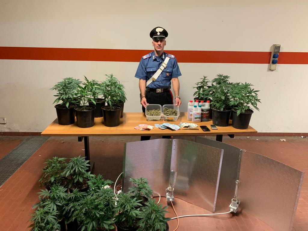 Barattoli di marijuana nascosti nella dispensa: arrestano produttore droga “km0”
