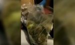 Tradito da un selfie: in casa gli trovano 8 chili di marijuana VIDEO