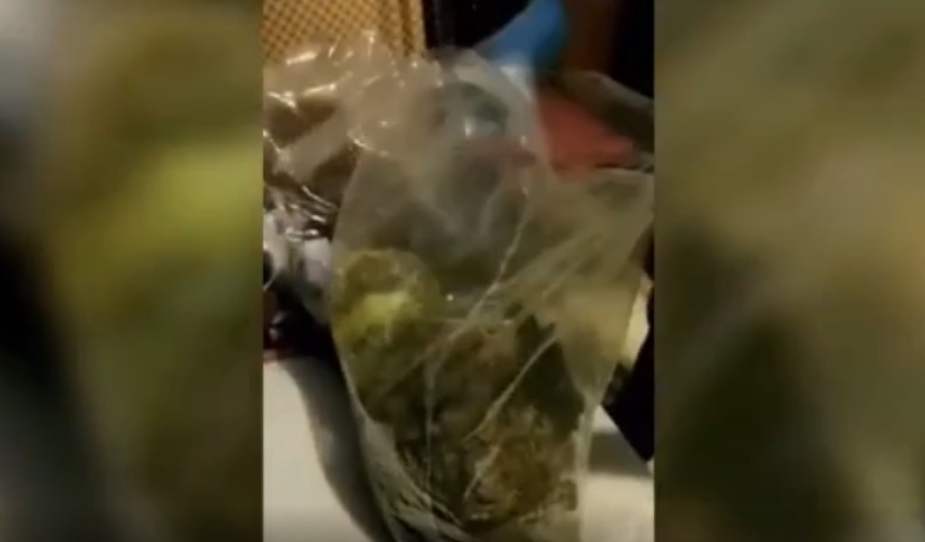 Tradito da un selfie: in casa gli trovano 8 chili di marijuana VIDEO
