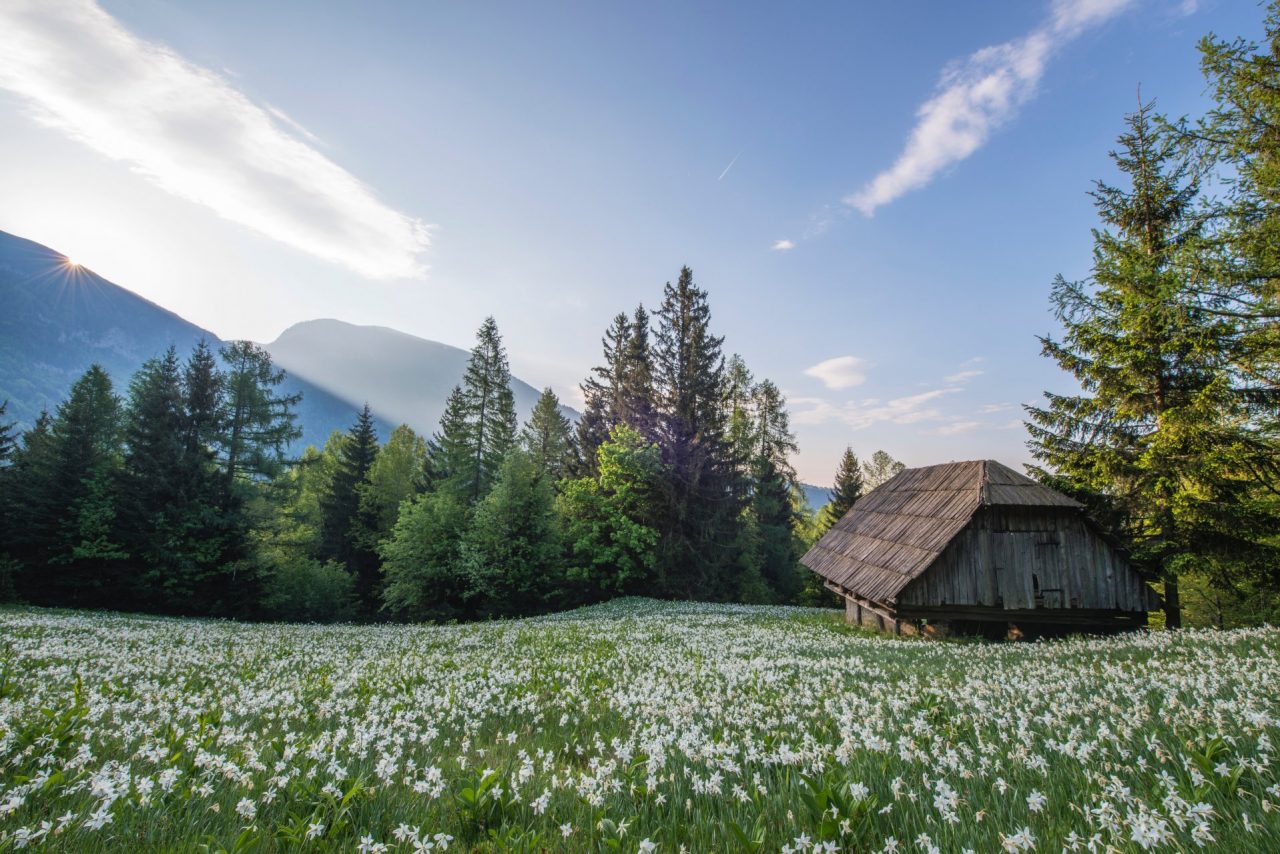 Vai a vivere in montagna? La Regione non ti lascia solo, anzi