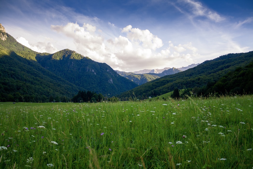 CinemAmbiente 2020: film a tema green da vedere all’aperto in Valchiusella