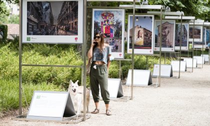 Torino ambasciatrice della sostenibilità grazie all'arte urbana