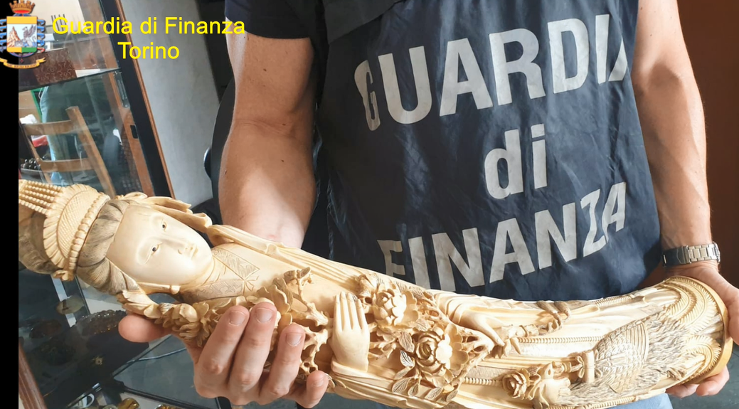 Sventato business clandestino di manufatti ricavati da zanne d’elefante VIDEO