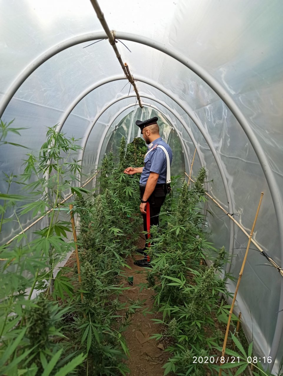 Settimana di Ferragosto, controlli a tappeto dei carabinieri