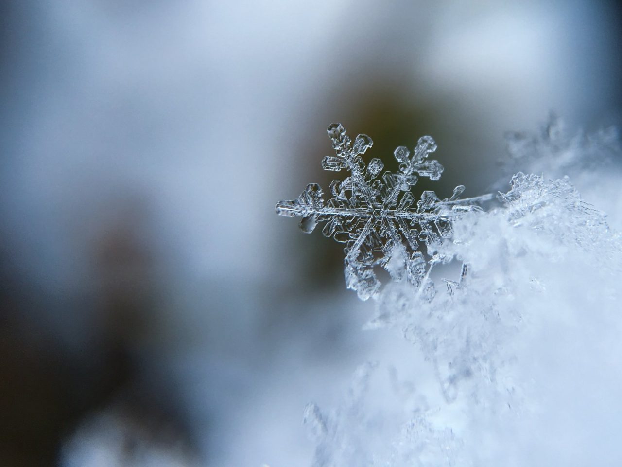 La prima neve non si scorda mai (anche se sono solo 5 cm)