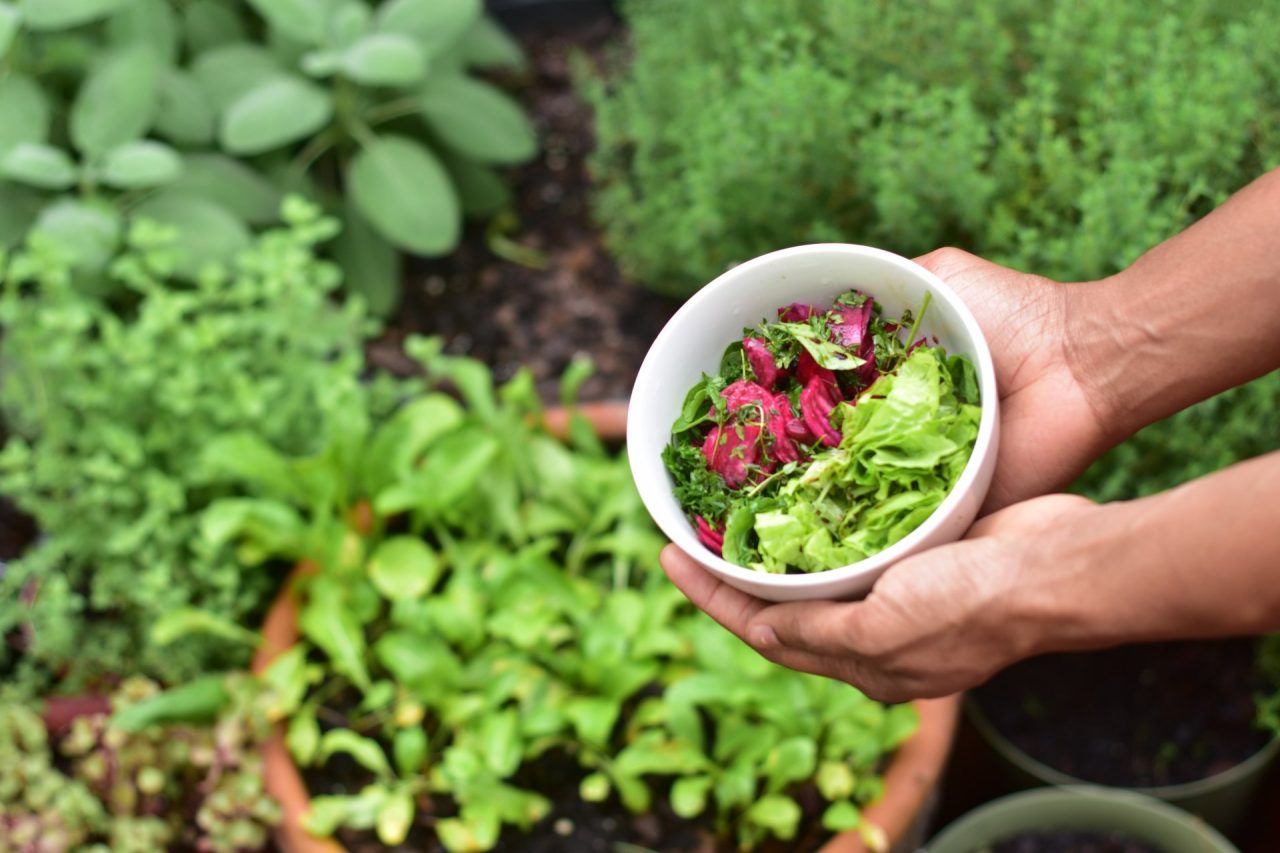 Un progetto che mette al centro cibo e solidarietà per il benessere di tutti (anche dell’ambiente)
