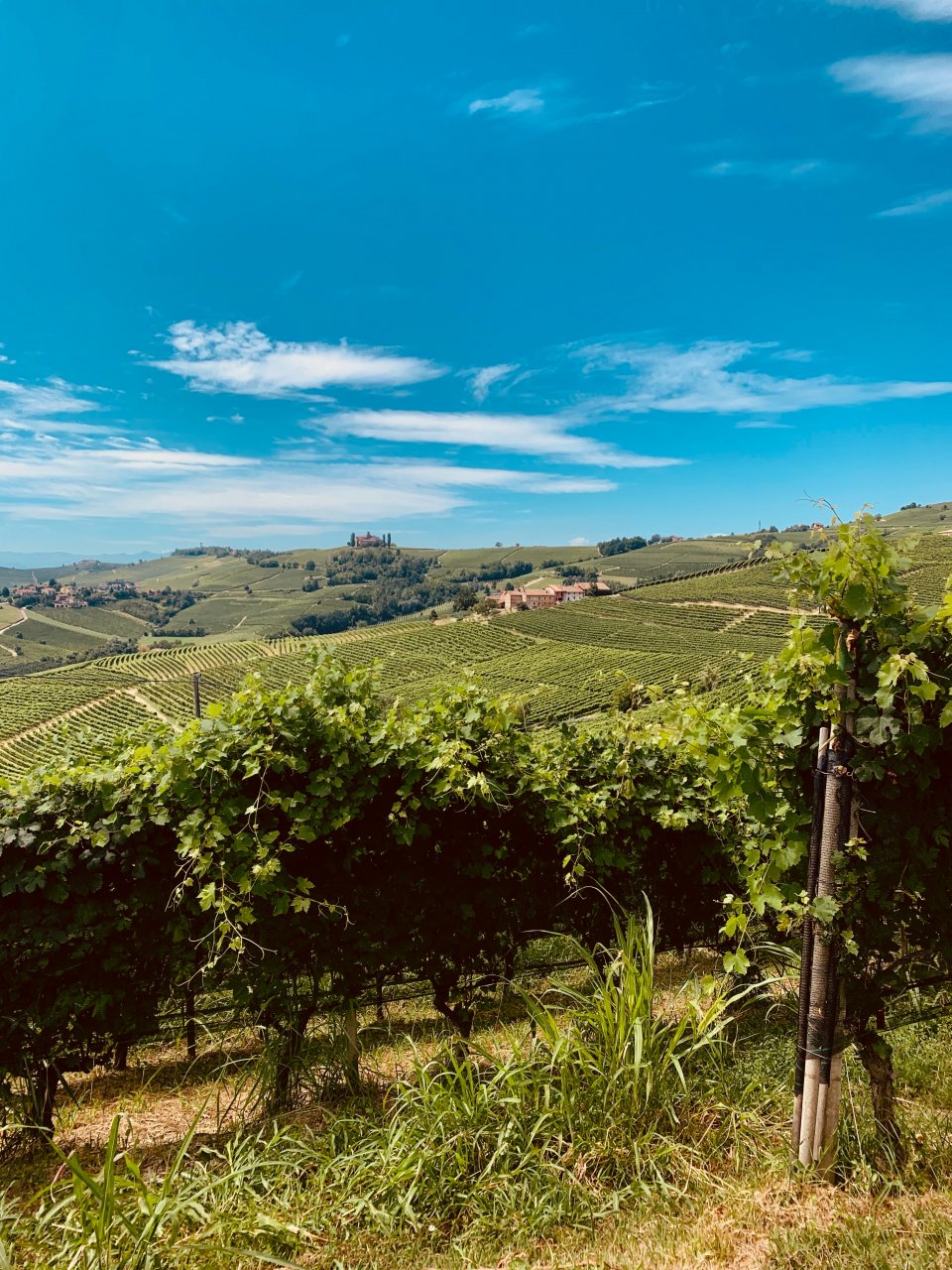 Vacanze gratis in Piemonte usando Instagram
