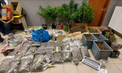 Si spacciavano per coltivatori di canapa: arrestati in 7 con oltre 63 kg di droga FOTO