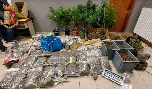 Si spacciavano come coltivatori di canapa: arrestati in 7 con oltre 63 kg di droga FOTO