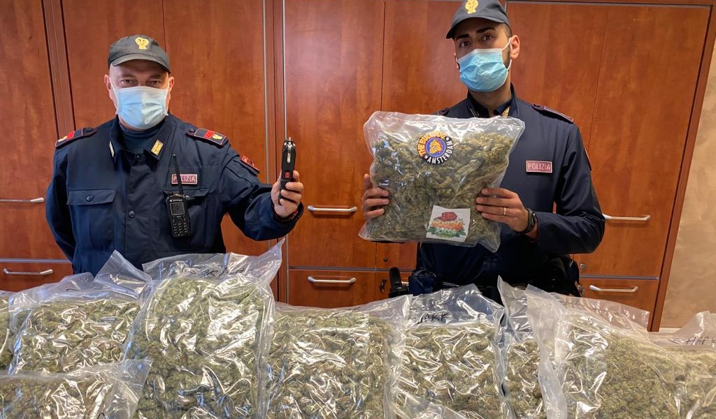 Vicepresidente del circolo, anzi no… pusher: il fiuto di “Evan” scova 17 chili di marijuana