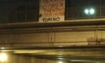 Solidarietà da Torino per gli orsi del Trentino rinchiusi in un centro di recupero faunistico