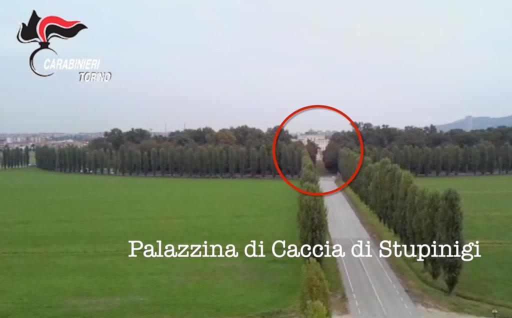 Cannabis nel parco di Stupinigi, carabinieri sequestrano una piantagione