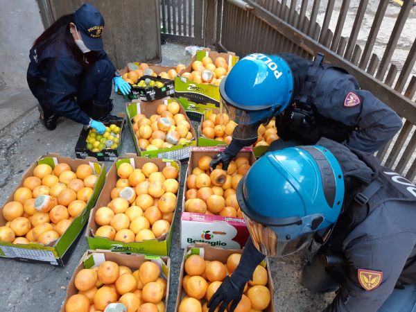 frutta e Enel 1