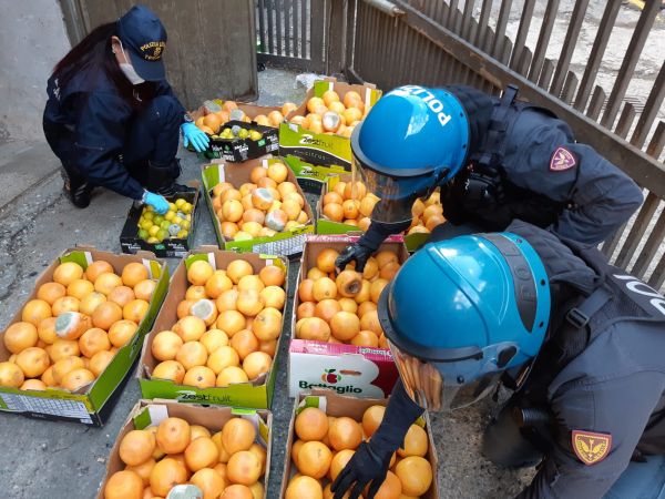 Scoperta montagna di frutta marcia nello scantinato del condominio