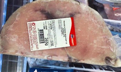 “Nel pesce c’è il mercurio”: Ministero Salute ritira tranci di spada surgelato