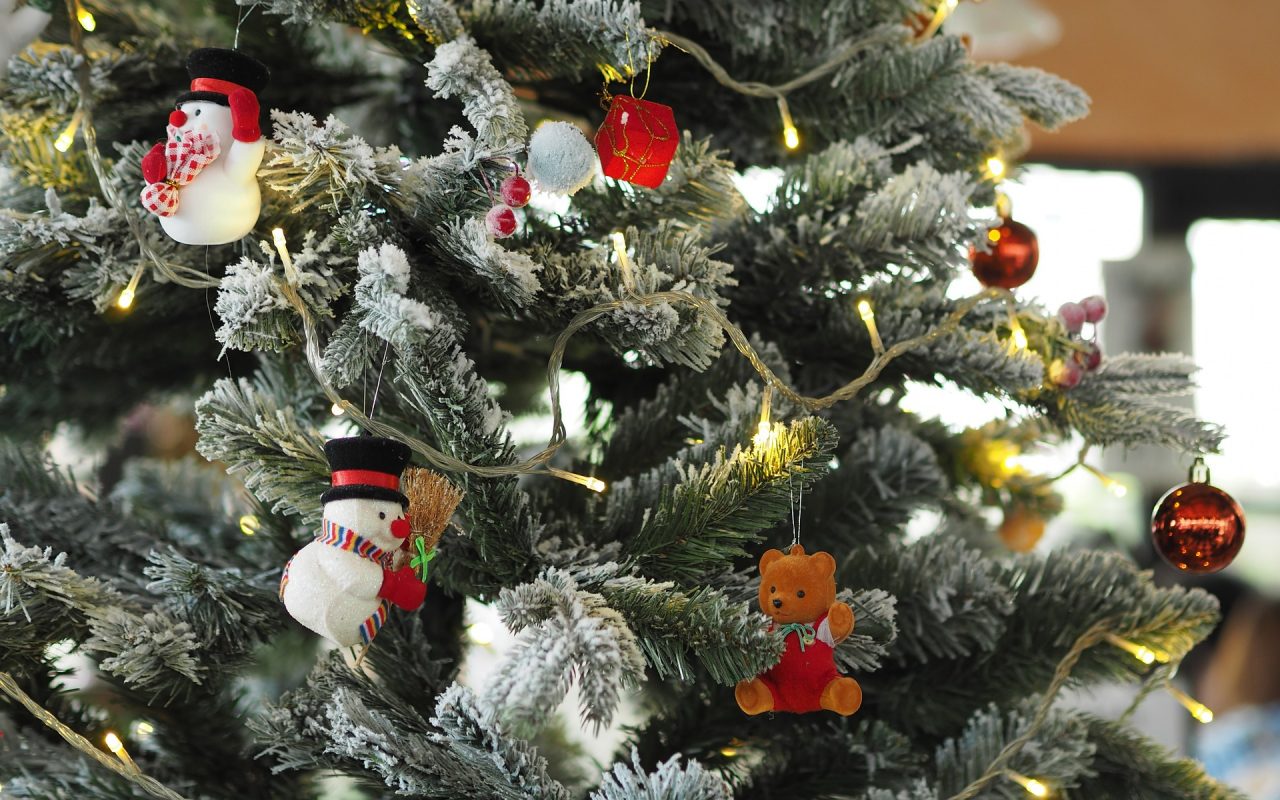 Shopping natalizio notturno: ruba in negozio 15 confezioni di luminarie di Natale