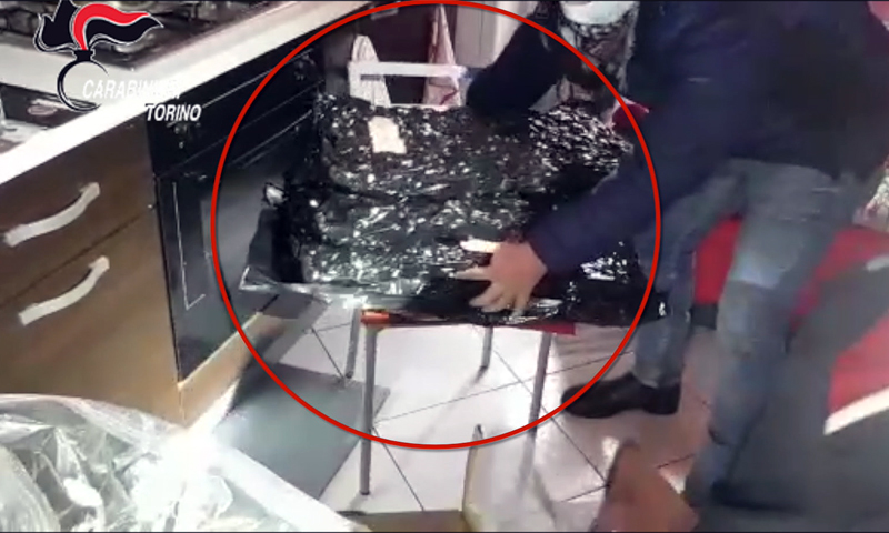 IL VIDEO: marijuana per 100mila euro in un monolocale di Barriera Milano