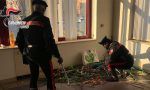 Due rumeni rubano 150 kg di rame: arrestati dai Carabinieri