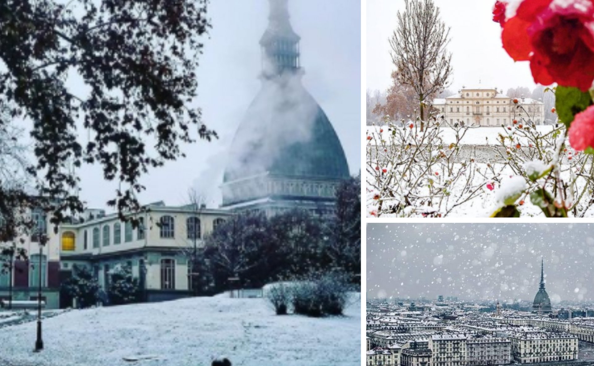 Torino Sotto La Neve La Gallery Degli Scatti Più Poetici Prima Torino Torino Sotto La Neve La Gallery Degli Scatti Più Poetici Prima Torino