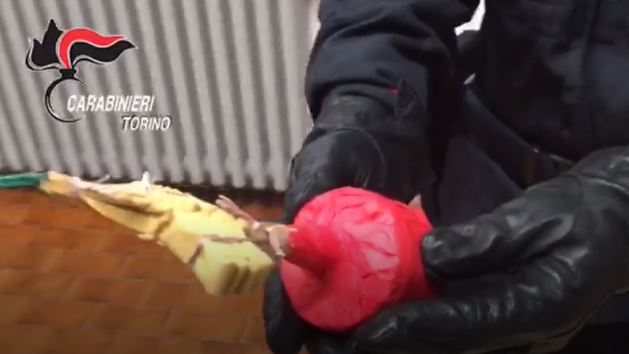 Botti illegali in cantina per Capodanno: un arresto | IL VIDEO