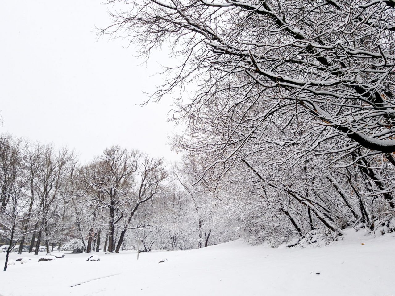 Resta l’allerta gialla in Piemonte: pericolo neve