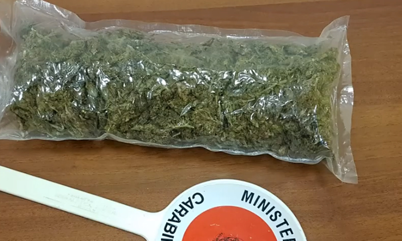 Arresti per droga da Borgaro a Vinovo: spunta la temuta marijuana “Amnesia”