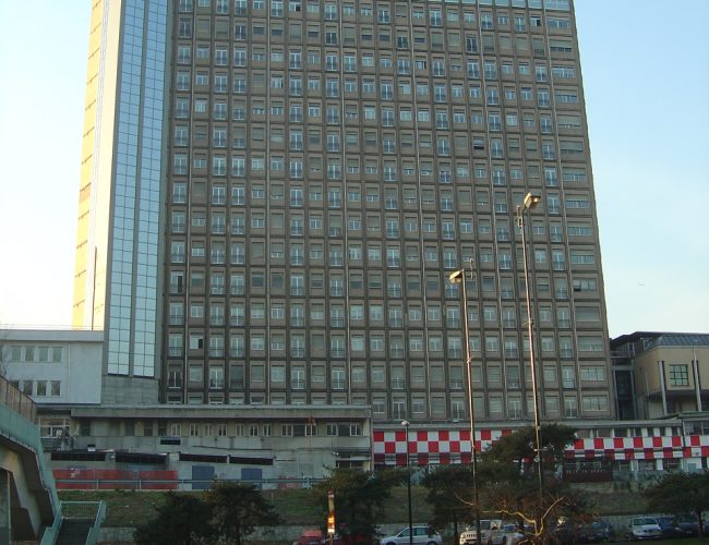 Infortunio sul lavoro, 35enne colpito da un ramo di albero