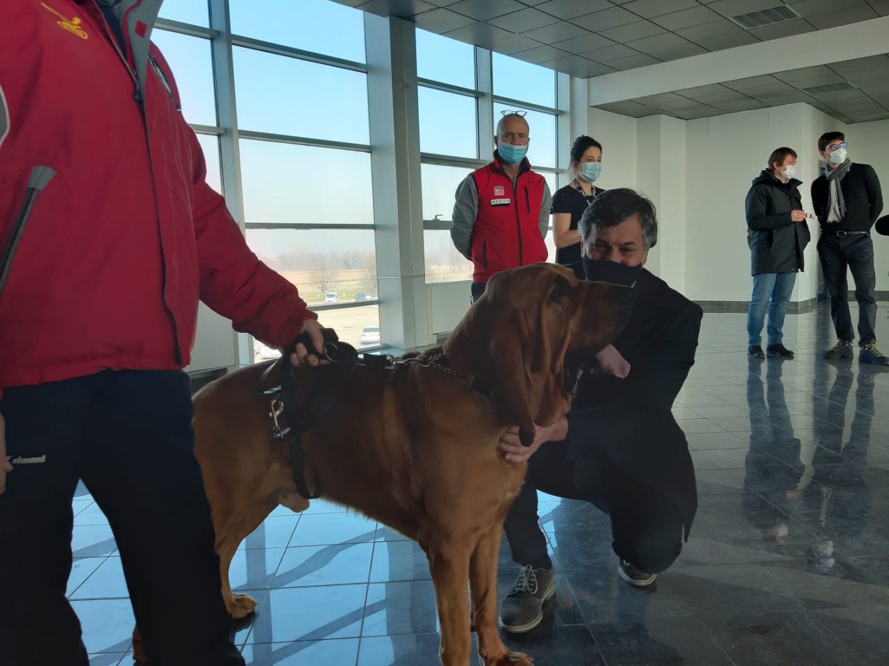 All’aeroporto arrivano i cani anti Covid LE FOTO