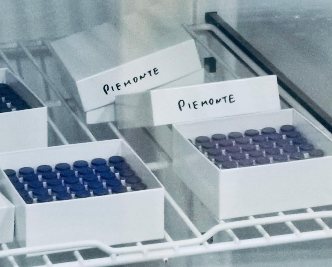 Covid, la Francia apre le frontiere ai vaccinati