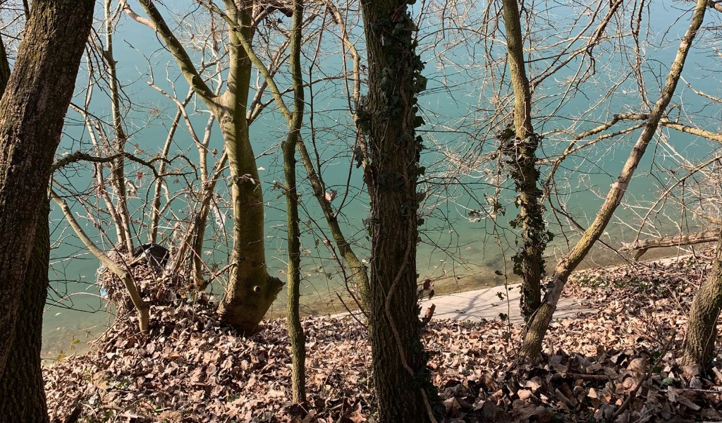 Scivola nel Po per recuperare il proprio cane, entrambi trascinati via dalla corrente e poi salvati