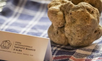 “Abbiamo riprodotto il tartufo bianco di Alba”: la “grandeur” francese che fa arrabbiare l’Italia