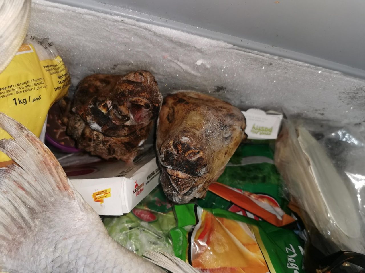 Sporcizia e merce in putrefazione in una macelleria a San Salvario: 84 chili di alimenti sequestrati