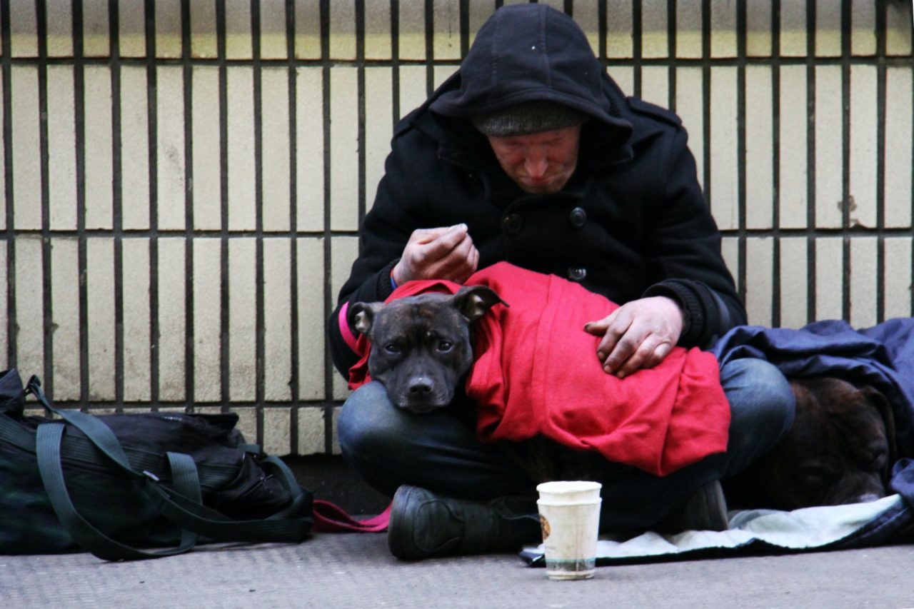 Il regolamento comunale “odia” gli animali e fa guerra agli homeless? No, l’Appendino non ci sta
