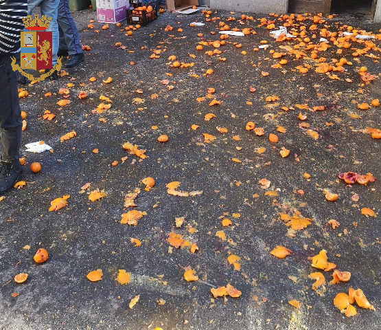 Battaglia delle arance nel cortile di casa: sette le sanzioni per i nostalgici del Carnevale di Ivrea