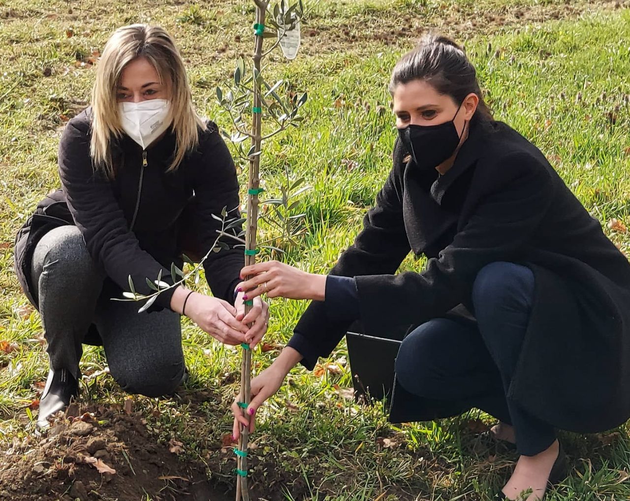 Giornata nazionale per le vittime del Coronavirus: un bosco per non dimenticare