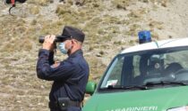 Cacciatori sanzionati per spostamenti fuori dal Comune in zona arancione