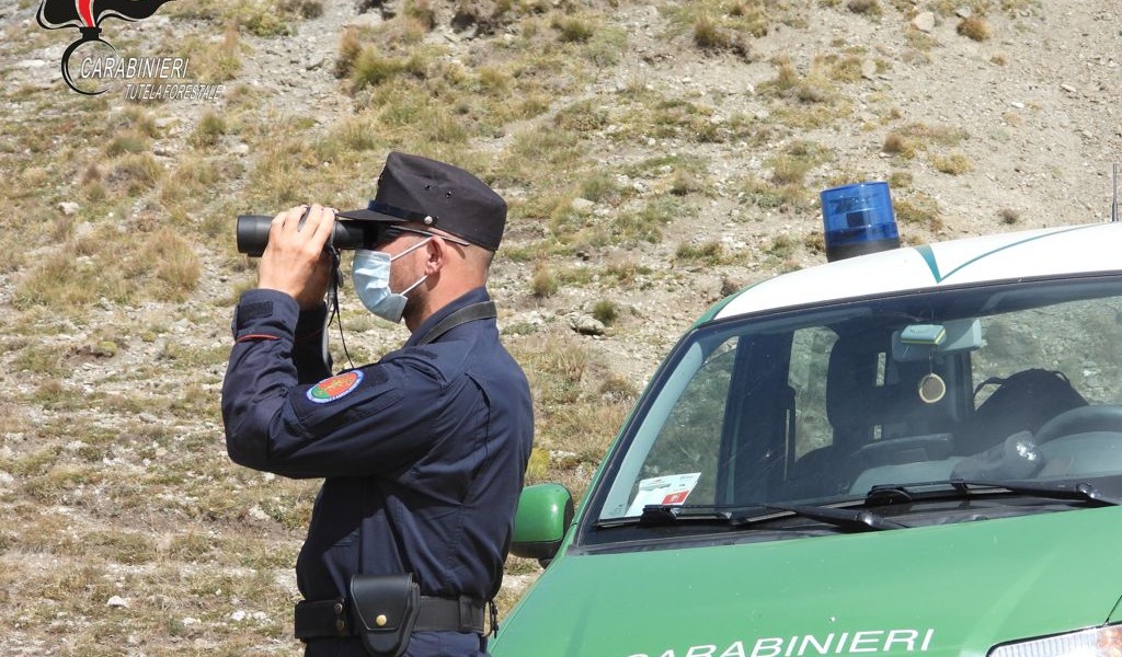 Cacciatori sanzionati per spostamenti fuori dal Comune in zona arancione