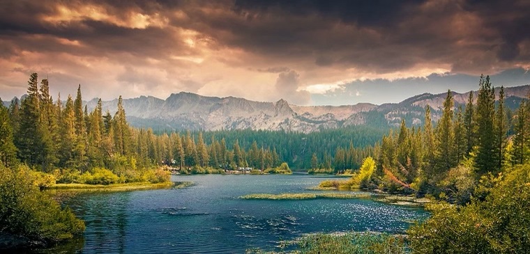 Tre milioni di euro per valorizzare i boschi e le foreste del Piemonte
