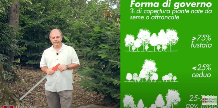 Il bosco e l’uomo: la Regione valorizza il suo patrimonio forestale anche con un film