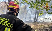 Incendio nei boschi della Valle di Susa: le foto dell'intervento dei Vigili del Fuoco