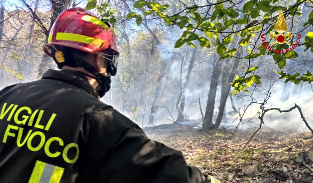 Incendio nei boschi della Valle di Susa: le foto dell’intervento dei Vigili del Fuoco