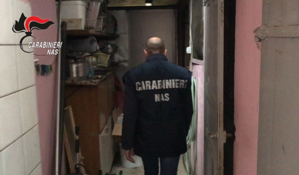 In macelleria 920 chili di carne in cattivo stato di conservazione: chiusa attività