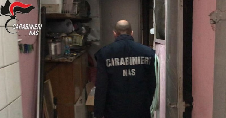 Doping fatto in casa e fuochi d’artificio, il laboratorio in soffitta