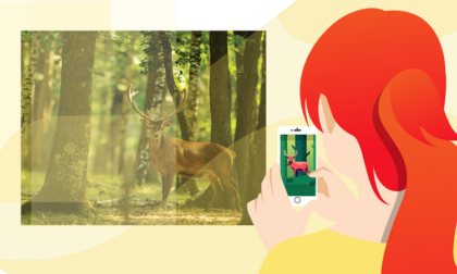 Una app sui telefonini per controllare la selvaggina: siamo tutti guardie ecologiche