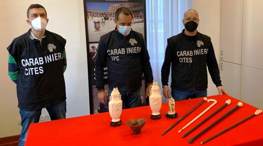 Avorio di rinoceronte, sequestrata l’antica “Coppa da Libagione”