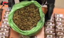 Sgominata banda dedita allo spaccio di stupefacenti: sequestrati 11 chili di hashish e 3 di marijuana