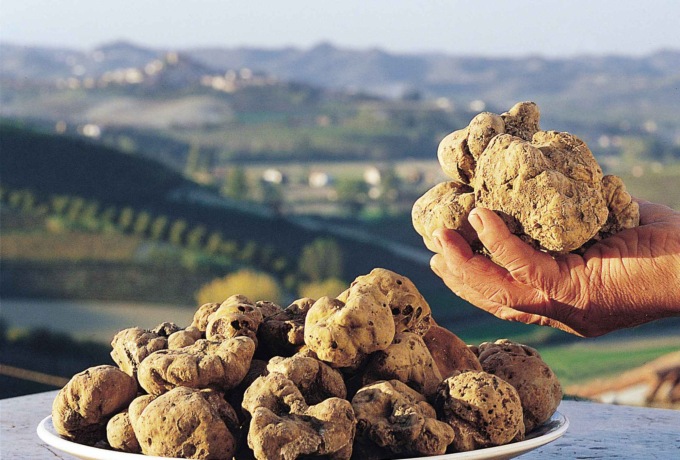 La Regione Piemonte conferma l’impegno per salvaguardare e valorizzare il tartufo